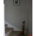 L'escalier : gardé par les chats...